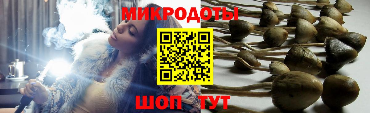 Галлюциногенные грибы Psilocybe  Вход с VPN  Псилоцибиновые грибы Psilocybe  Михайловка 
